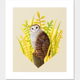 Barn Owl (Tyto alba) Posters and Art